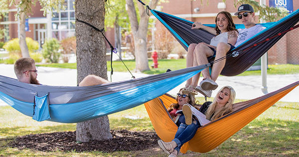 Students in hammocks