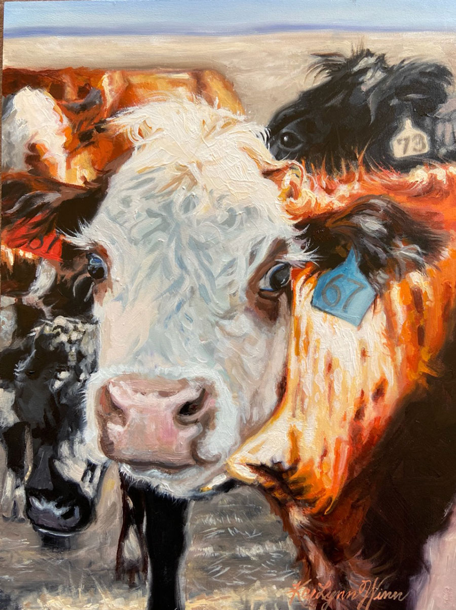 KaeLynn Winn Painting - Steer