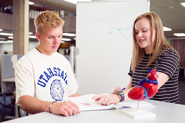 students studying together in the llc