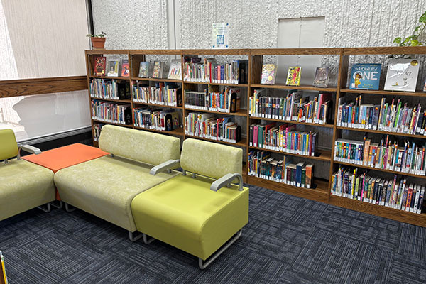 Children's Section in the LLC