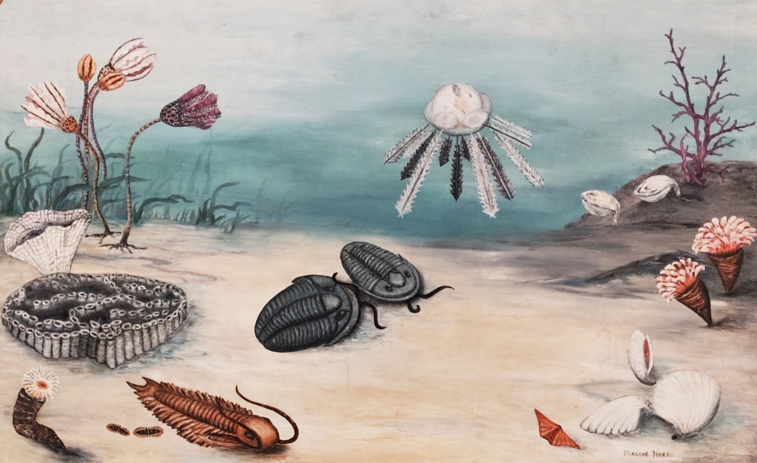 an ocean floor scene of the paleozoic with a mix of paleozoic fauna like a trilobite